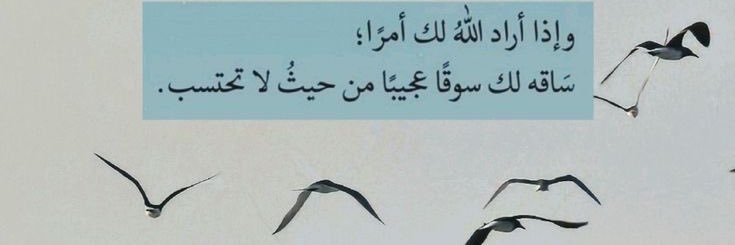 iABRAR_as's profile banner image