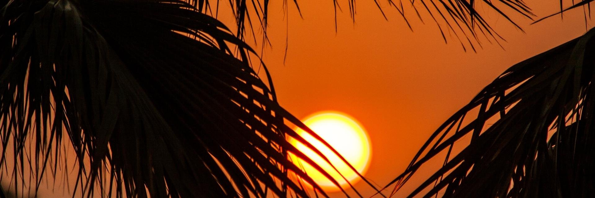 Mārtiņš Briedis banner