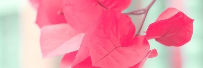 kueunhee's profile banner image