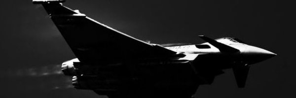 leopoldees Profile Banner