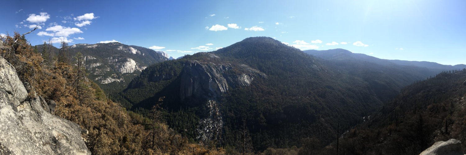 Ricky van Rijn banner