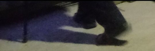 Reza Abedini's banner