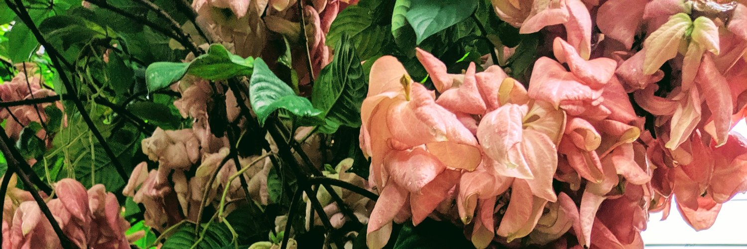 getme0020's profile banner image
