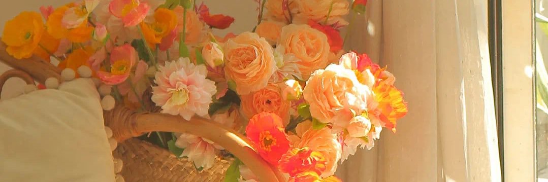 一只小黑土💕 banner