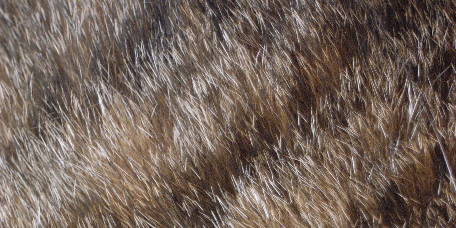 garasar68's profile banner image