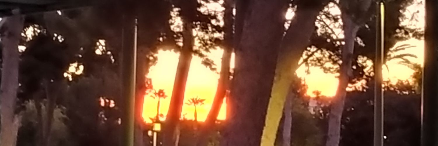 meliselian's profile banner image