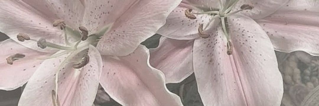 cravitythreads_ banner