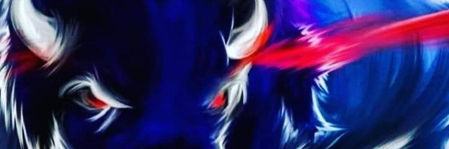 BuffaloBills439 banner