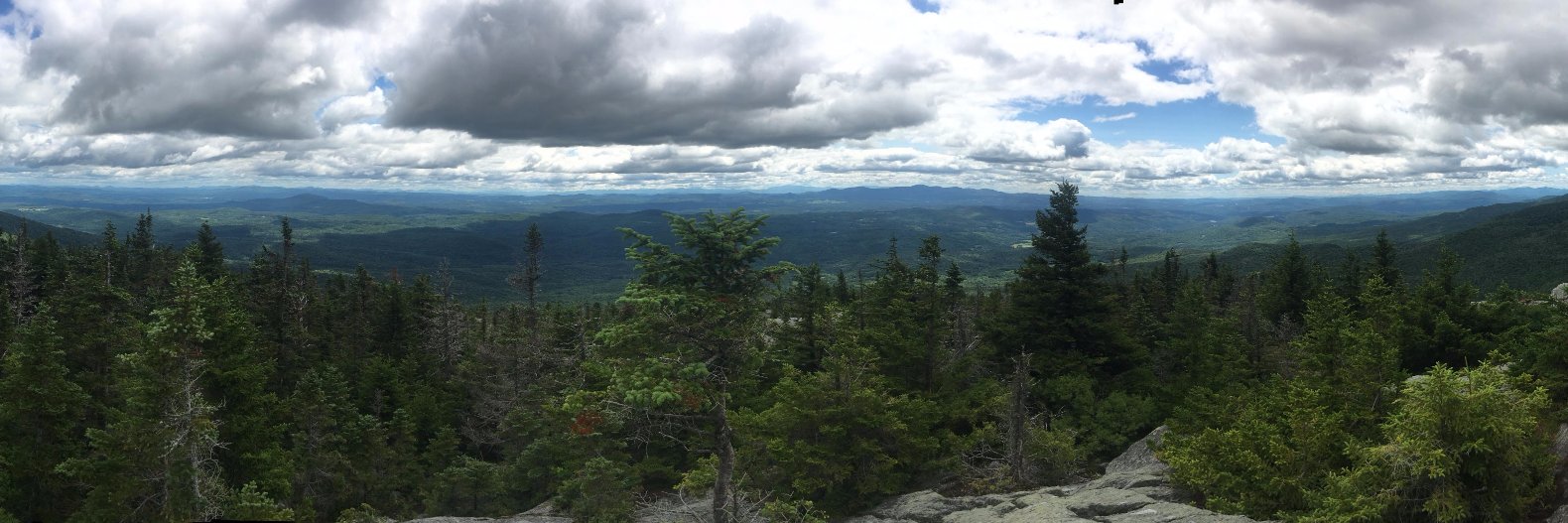 Deborah Bynum, also @dbynum.bsky.social banner