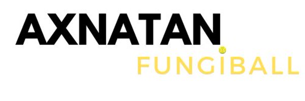 AxnatanFungibal Profile Banner