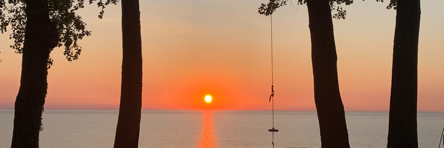 Morgan Delack banner