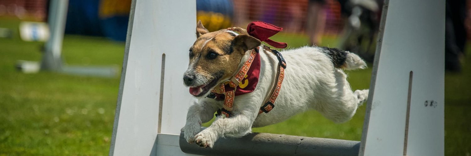 The Cranleigh Show banner