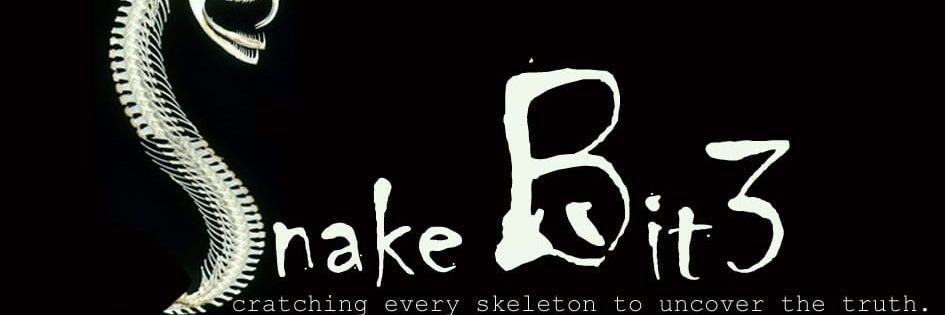 Bit~3~Snake!!! banner