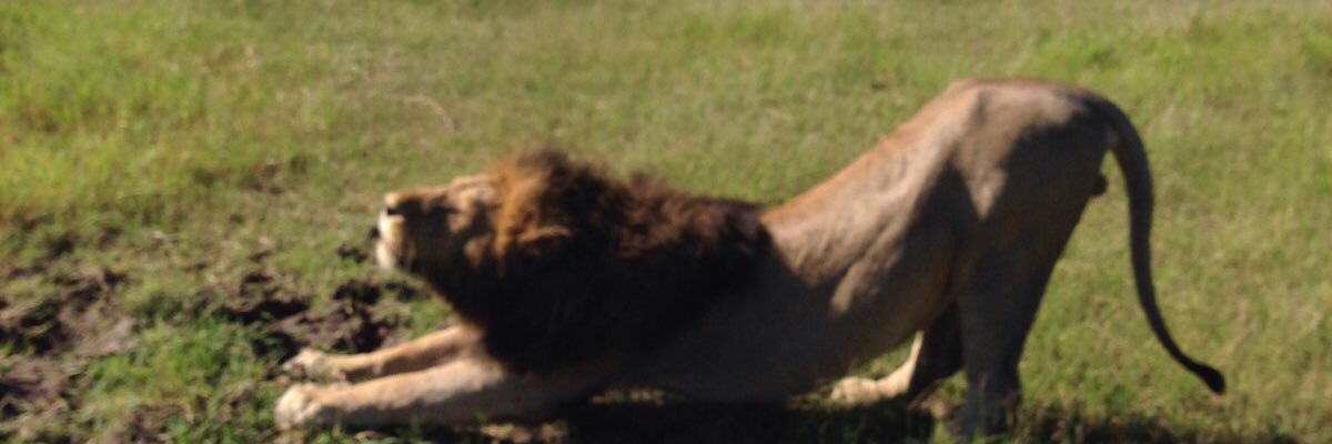 wrachitarora's profile banner image
