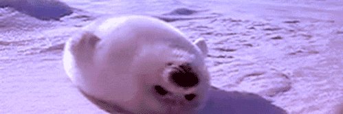 Lucas Lundgren banner