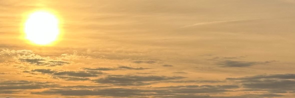 meraleyb's profile banner image