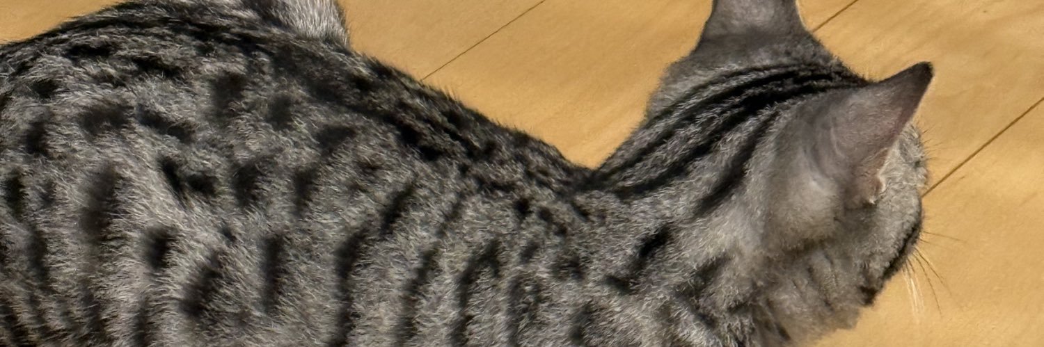 drhrnonuma's profile banner image
