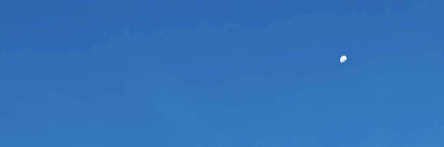bichetteve's profile banner image