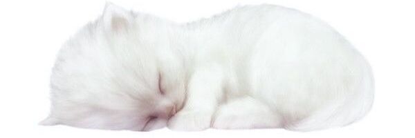 dhivaAa ENHYPEN IS 7 banner