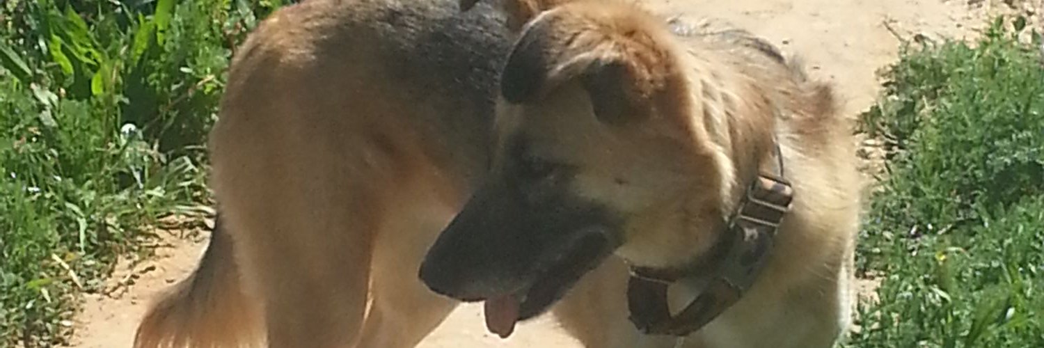 tatimars's profile banner image