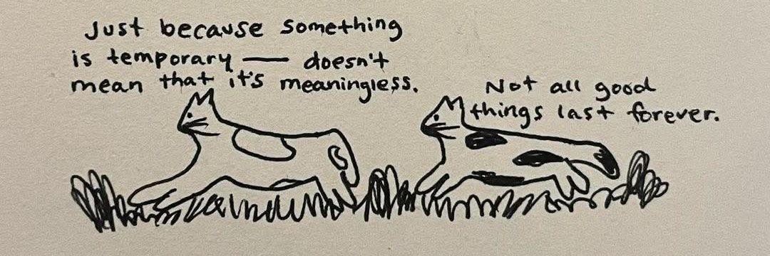 Driift 😻🚗 banner