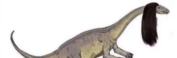LimbergRyan's profile banner image