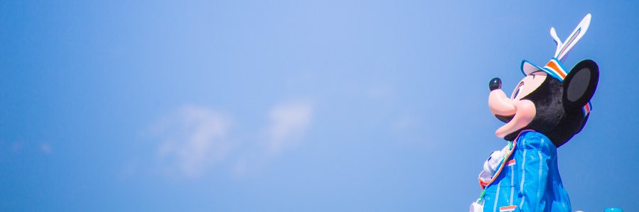 hth banner