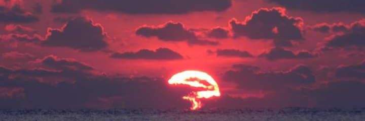 THEREALRNP1's profile banner image