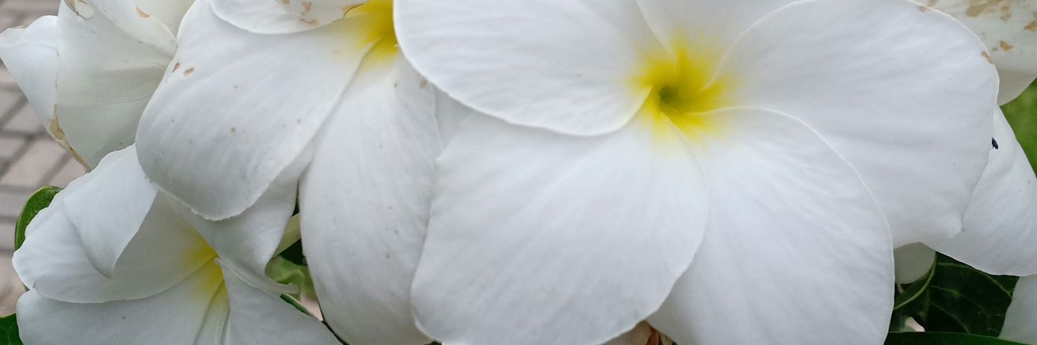 FasyaSyafina's profile banner image