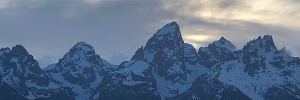 NormalNeco Profile Banner