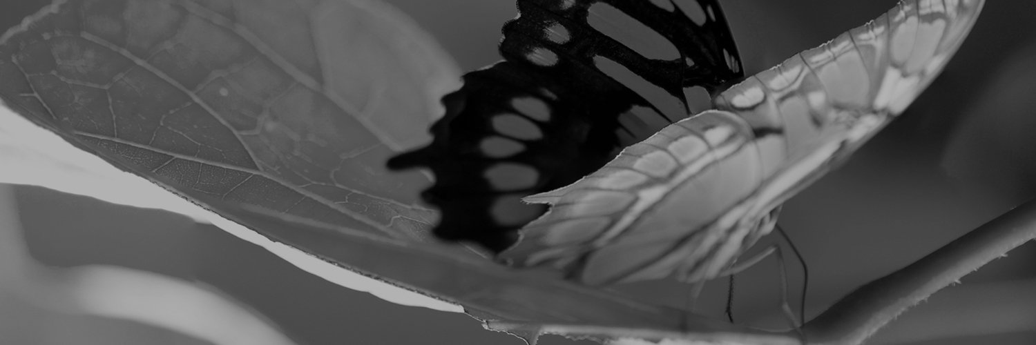 ForzesNL's profile banner image
