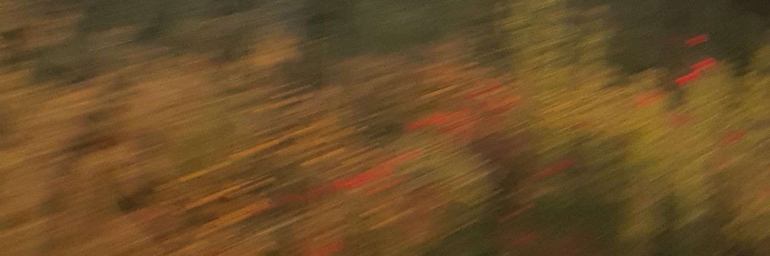 nomellamesbea's profile banner image