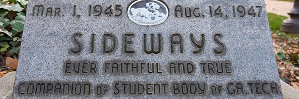 Sideways The Dog's banner
