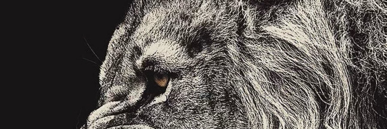 dumebiomg's profile banner image