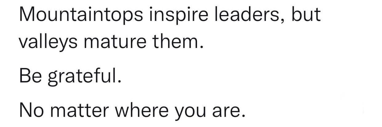 Patricia Coldren banner