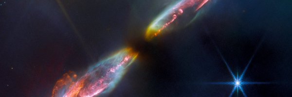 LauraFlowD Profile Banner