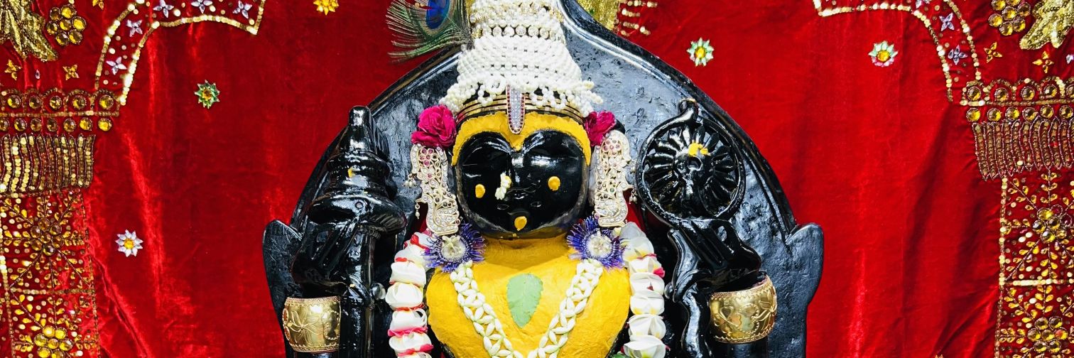 harshmavani33's profile banner image