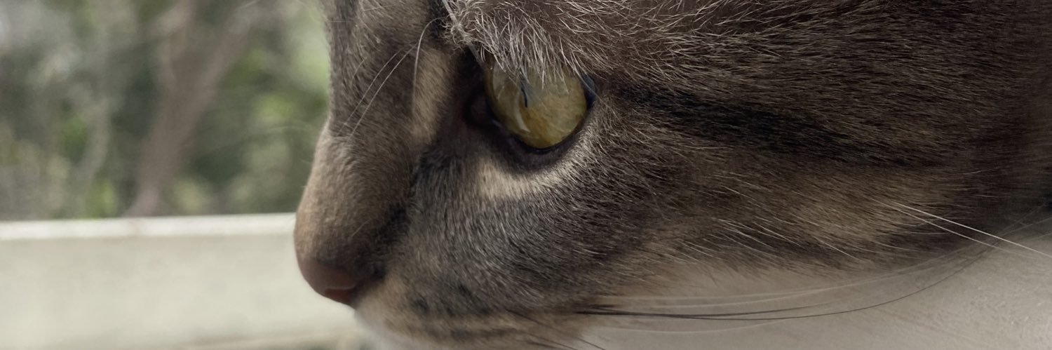 AliMertGuven's profile banner image