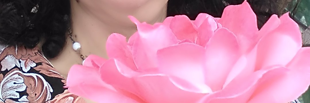 DraConceicaoS's profile banner image
