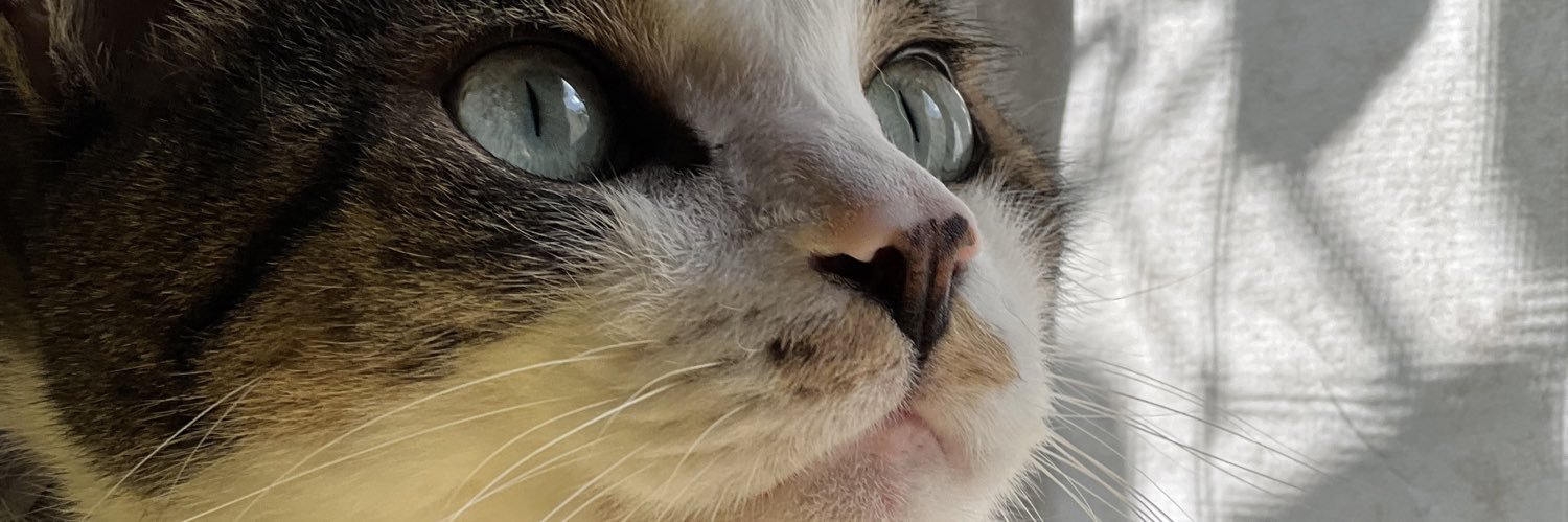 1783_happy's profile banner image