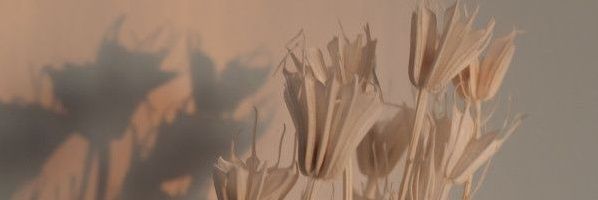 Freya banner