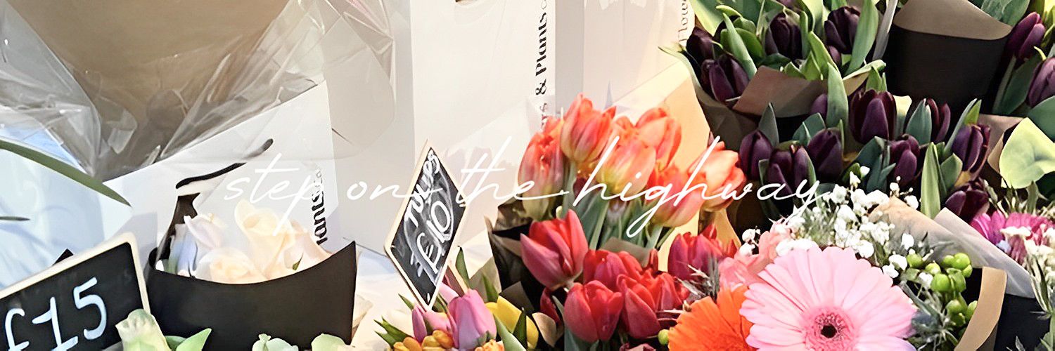 mey ʕ⁠·⁠ᴥ⁠·⁠ʔ banner