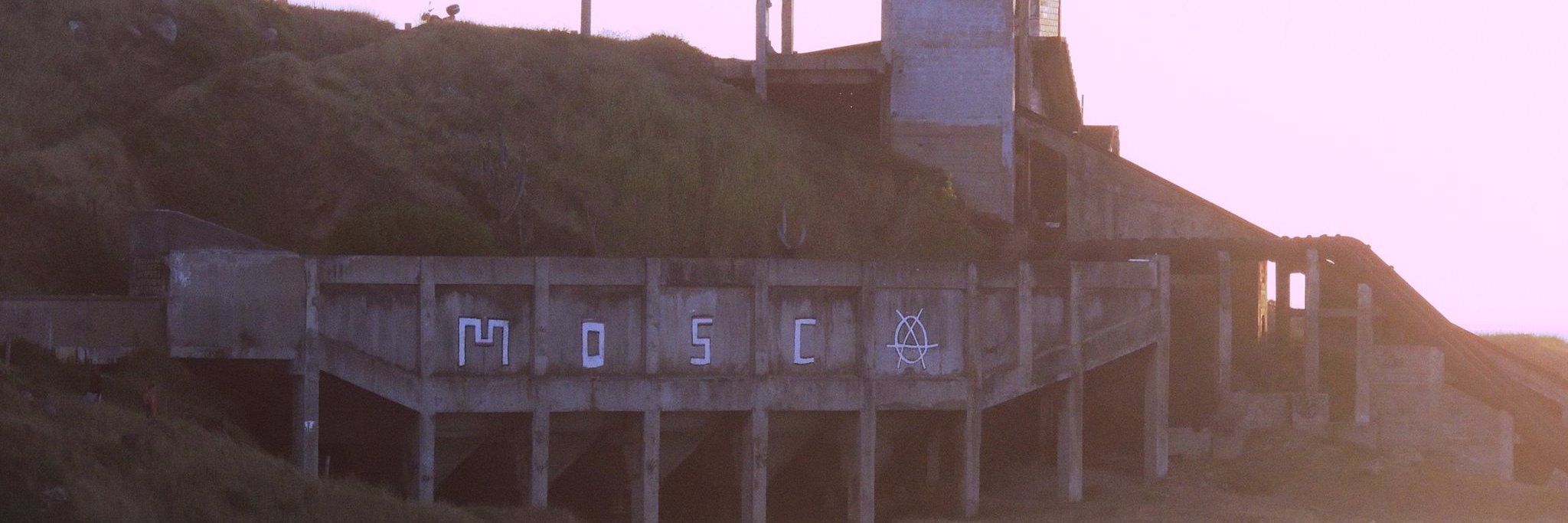 MoscaPeletti's profile banner image