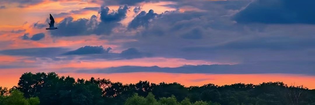 sunset2green's profile banner image