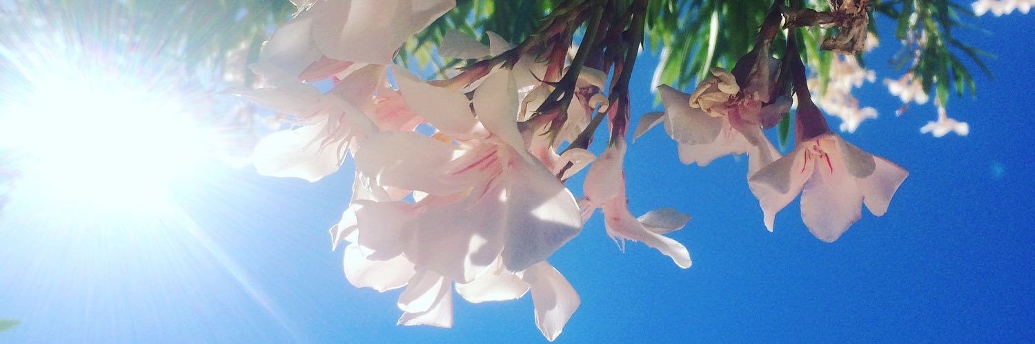 Capucine_Trlln's profile banner image