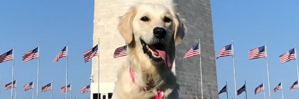 UserrrNamezzz Profile Banner