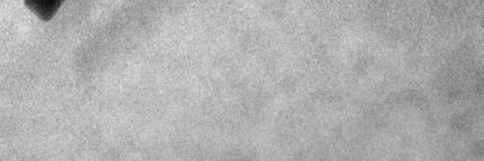 srinjoy92's profile banner image