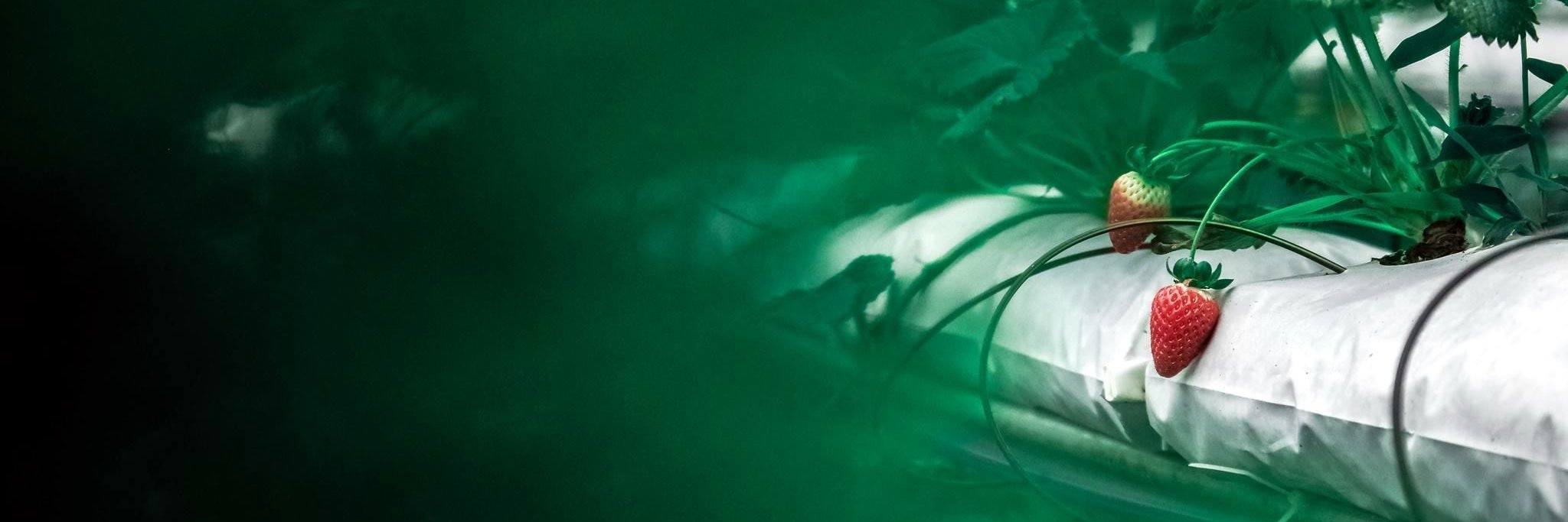 Agro2b_'s profile banner image