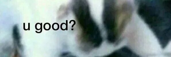 superbigdonkey banner
