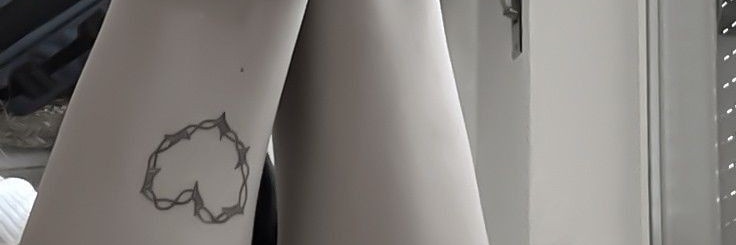 S banner